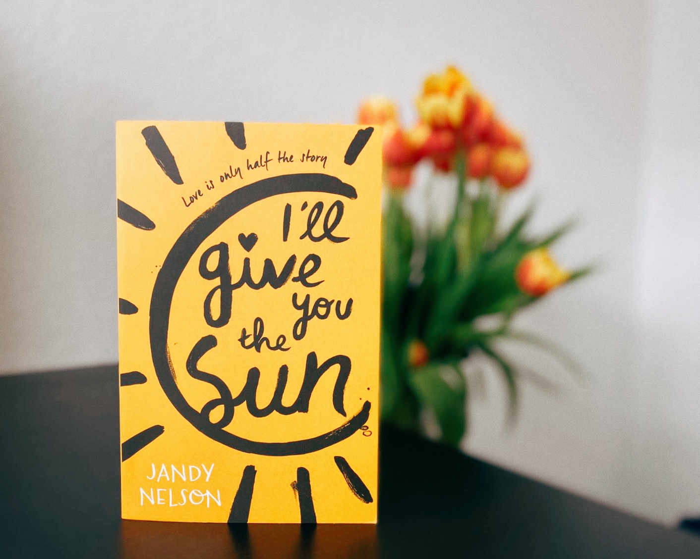 "I'll Give You the Sun" von Jandy Nelson - Buch&Wort 2.0